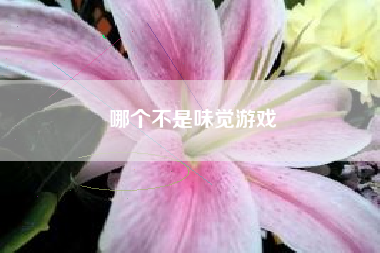 哪个不是味觉游戏