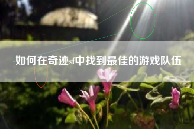 如何在奇迹sf中找到最佳的游戏队伍