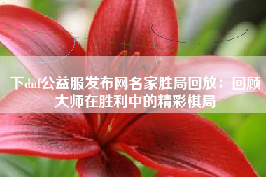 下dnf公益服发布网名家胜局回放：回顾大师在胜利中的精彩棋局
