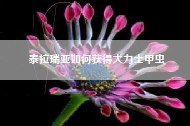 泰拉瑞亚如何获得大力士甲虫