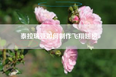 泰拉瑞亚如何制作飞翔翅膀