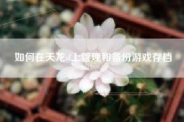 如何在天龙sf上管理和备份游戏存档