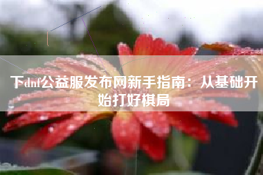 下dnf公益服发布网新手指南：从基础开始打好棋局