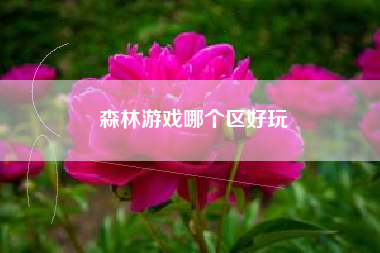 森林游戏哪个区好玩