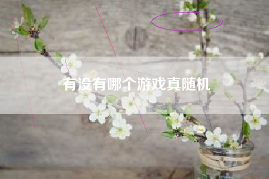 有没有哪个游戏真随机