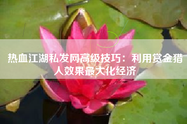 热血江湖私发网高级技巧：利用赏金猎人效果最大化经济