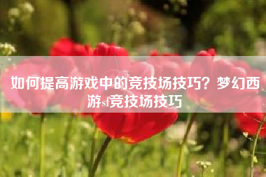 如何提高游戏中的竞技场技巧？梦幻西游sf竞技场技巧