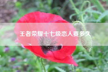 王者荣耀十七级恋人要多久