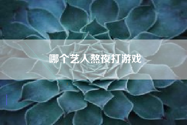 哪个艺人熬夜打游戏