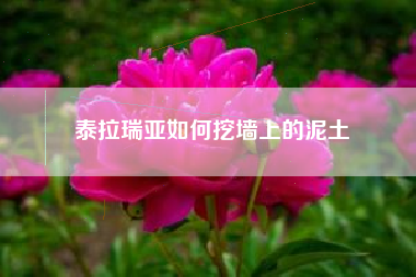 泰拉瑞亚如何挖墙上的泥土