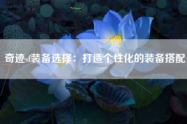 奇迹sf装备选择：打造个性化的装备搭配