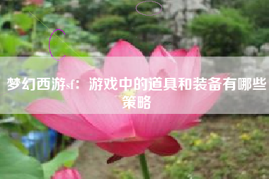 梦幻西游sf：游戏中的道具和装备有哪些策略