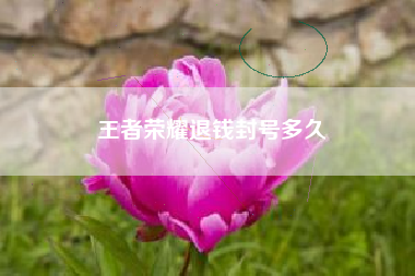 王者荣耀退钱封号多久