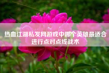 热血江湖私发网游戏中哪个英雄最适合进行点对点线战术