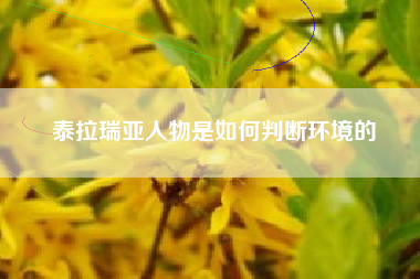 泰拉瑞亚人物是如何判断环境的