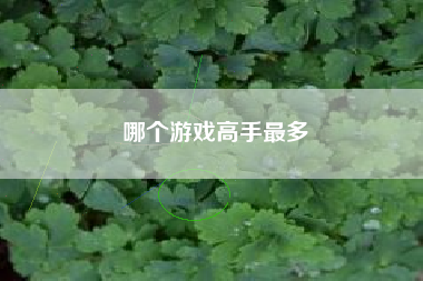 哪个游戏高手最多