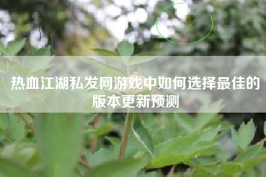 热血江湖私发网游戏中如何选择最佳的版本更新预测