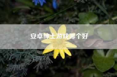 安卓绅士游戏哪个好