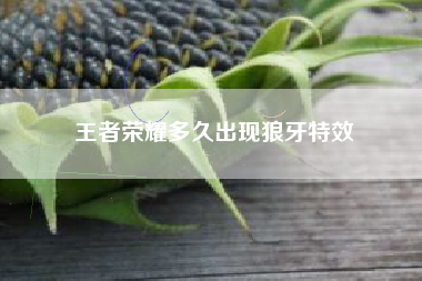 王者荣耀多久出现狼牙特效