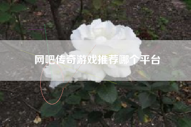 网吧传奇游戏推荐哪个平台