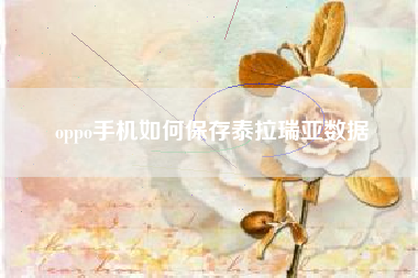oppo手机如何保存泰拉瑞亚数据