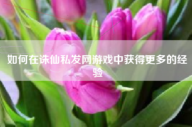 如何在诛仙私发网游戏中获得更多的经验