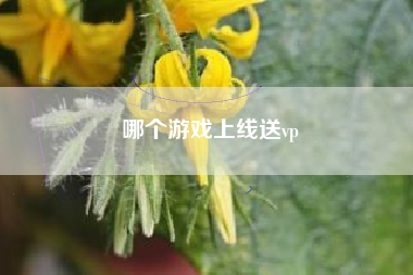 哪个游戏上线送vp