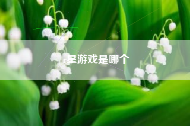 r星游戏是哪个