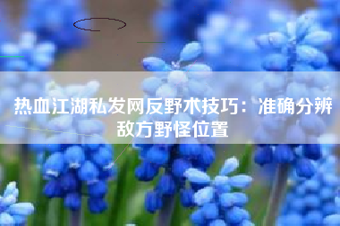 热血江湖私发网反野术技巧：准确分辨敌方野怪位置