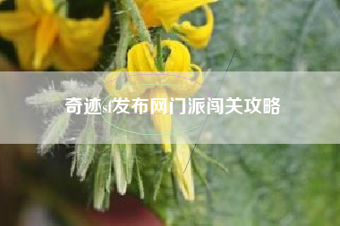 奇迹sf发布网门派闯关攻略