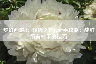 梦幻西游sf：终极之怒12新手攻略：战胜所有对手的技巧