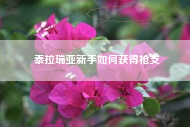 泰拉瑞亚新手如何获得枪支