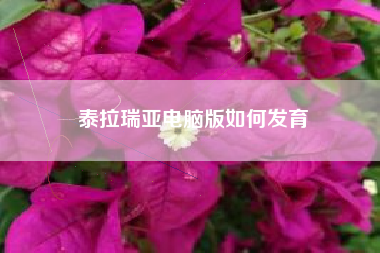 泰拉瑞亚电脑版如何发育