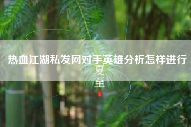 热血江湖私发网对手英雄分析怎样进行