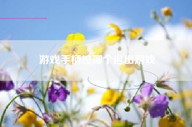 游戏手柄按哪个退出游戏