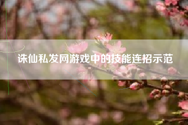 诛仙私发网游戏中的技能连招示范