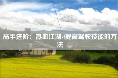 高手进阶：热血江湖sf提高驾驶技能的方法