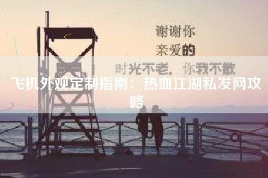 飞机外观定制指南：热血江湖私发网攻略