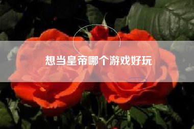 想当皇帝哪个游戏好玩