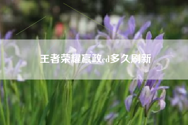 王者荣耀嬴政cd多久刷新
