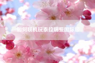 如何联机玩泰拉瑞亚国际服
