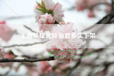 王者荣耀武陵仙君多久下架