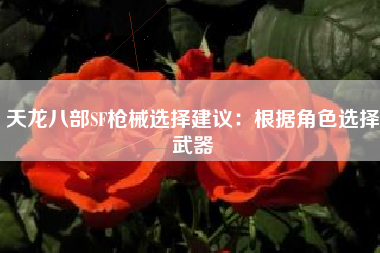 天龙八部SF枪械选择建议：根据角色选择武器