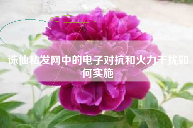 诛仙私发网中的电子对抗和火力干扰如何实施