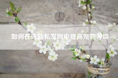 如何在诛仙私发网中提高宠物等级