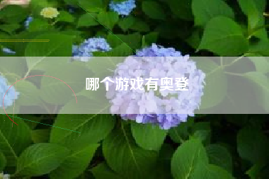 哪个游戏有奥登