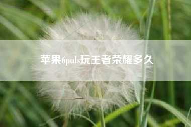 苹果6puls玩王者荣耀多久