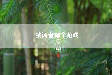 禁闭者哪个游戏