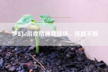 梦幻sf游戏精通竞技场，连胜不断