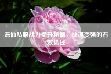 诛仙私服战力提升秘籍，快速变强的有效途径